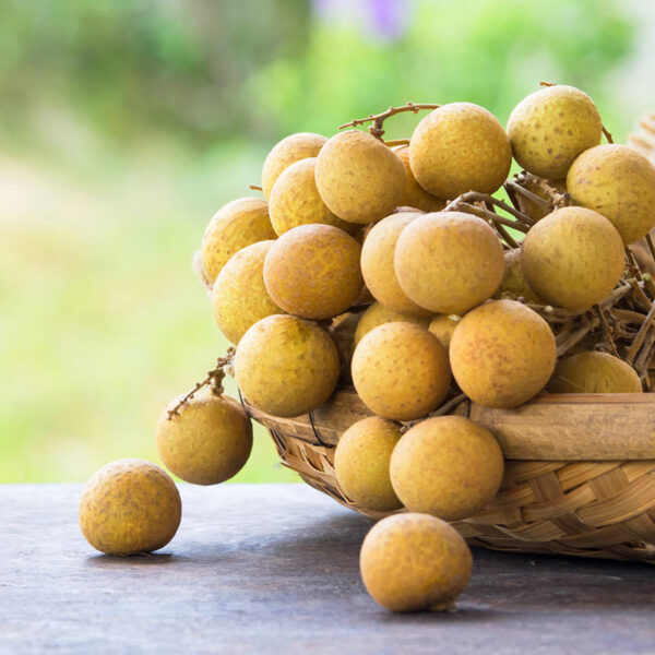 LONGAN - Image 3