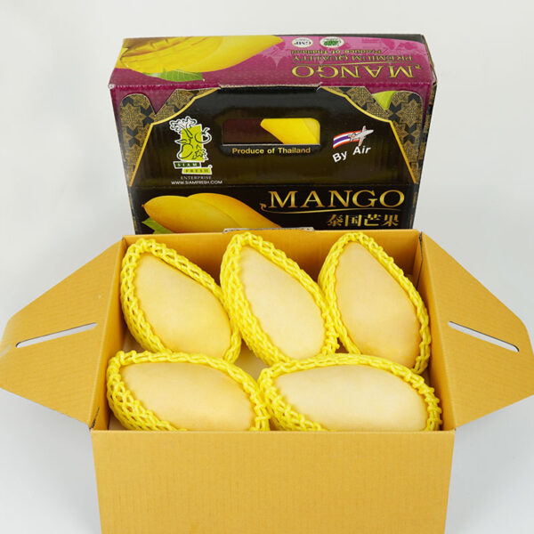 MANGO NAM DOK MAI - Image 2