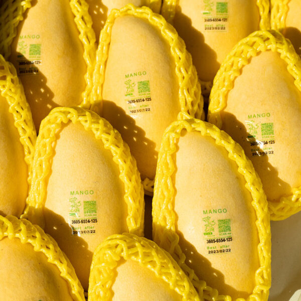 MANGO NAM DOK MAI - Image 4