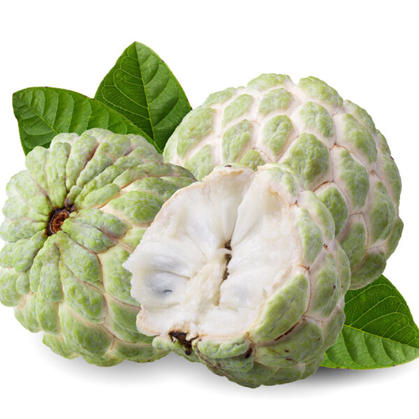 CUSTARD APPLE - Image 2