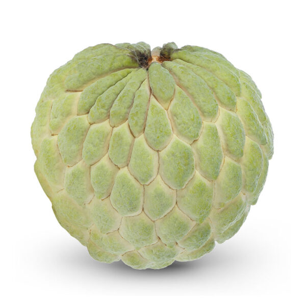 CUSTARD APPLE - Image 5