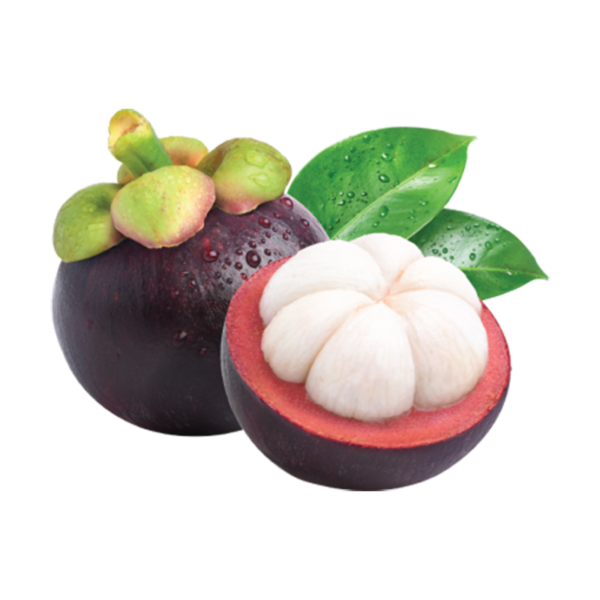 MANGOSTEEN SIAMFRESH ENTERPRISE
